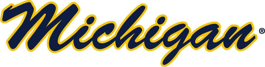 Michigan Wolverines 2016-Pres Wordmark Logo v2 t shirts iron on transfers